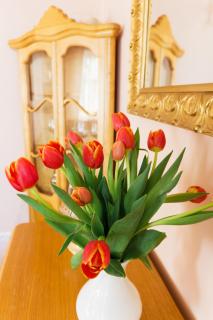 Apartament Sophie - Sopot - 2