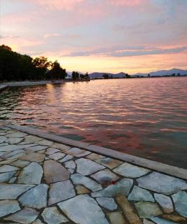 Kalypso Rental Apartment - Miloi - 7