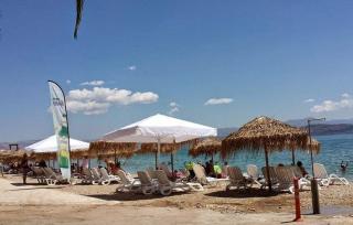 Kalypso Rental Apartment - Miloi - 6