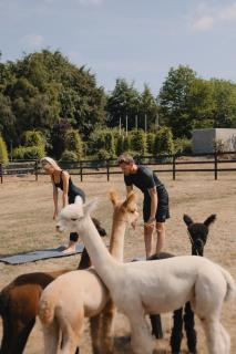 Domaine Des Hautes Fagnes - Ovifat - 1