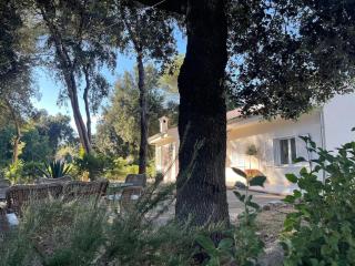 Villa with pool in a natural setting - Sa Pobla - 6
