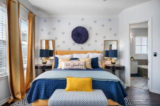 The Blue Dog 112 ST - 7