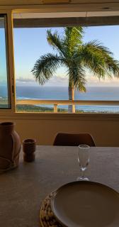 Palm View - Les Avirons - 9