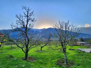 Kundan Hotel and Restaurant - 7