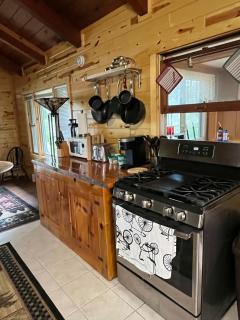 TnT Cabin on Plummer Lake - Lac du Flambeau - 2