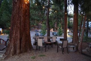 Bear Cave- Pet Friendly Suite In Shaver Lake - Shaver Lake - 8