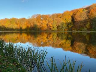 Ferienhaus am See -Teichanlage Kern - 1