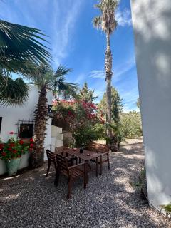La Washingtonia - Las Negras - 7