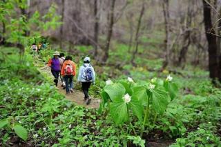 Inje Gombaeryeong Evergreen Pension - Inje - 4