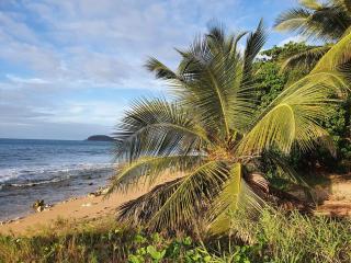 Villa Iguana - Deshaies - 3