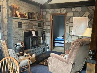 Cozy Catskill Mountain Cabin - Margaretville - 9