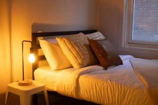Bright 3BR 2BA in the Plateau - Montréal - 2