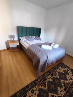 Casa Georgeta - Câmpulung Moldovenesc - 1