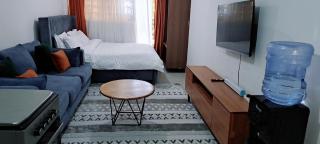 Cozy Studio bnb in Kasarani Seasons, Nairobi - Nairobi - 5