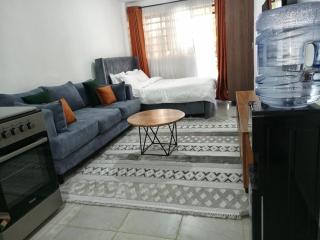 Cozy Studio bnb in Kasarani Seasons, Nairobi - Nairobi - 8