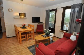 SÄLEN, Ski in-Ski out, Lägenhet 12G Grå Byn - 6