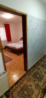 Bosnian feelings apartment Old Town - Sarajevo - 1