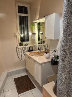 Appartement Quartier Montchapet - Dijon - 3