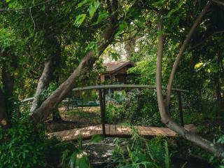 Cute Apartment hagoshrim - 2