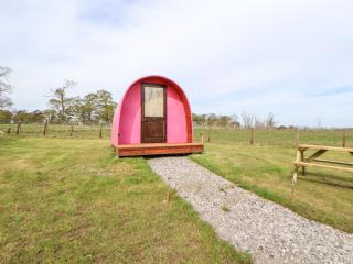 Pod 3 - St Asaph - 8