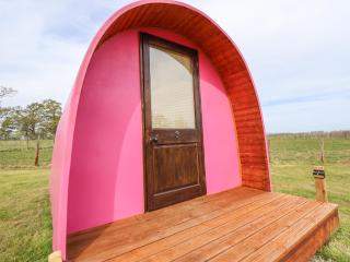 Pod 3 - St Asaph - 5