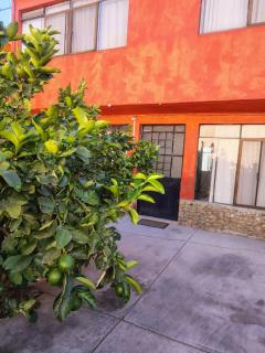 EL LIMÓN departamento - Oaxaca de Juárez - 6