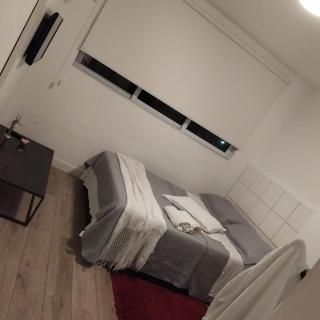 loft em ilha pura - Rio de Janeiro - 6