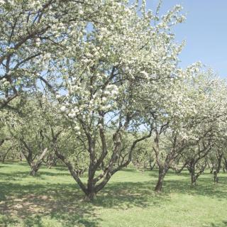 Eco Farm Camping 'de Waeldernis' - 1