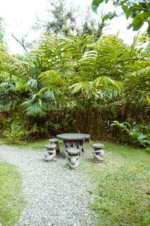 Pura Vida Vegana - Cahuita - 5