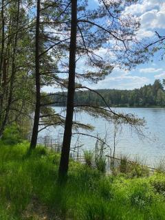 Carpinus II domek nad jeziorem - 6