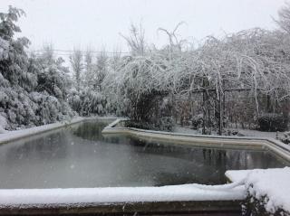 The Secret Garden - 7