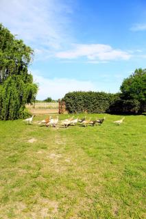 Casa de Campo Cottage La Calma - Uco Valley - 1