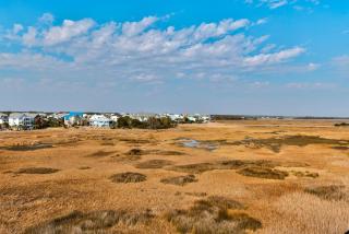 Marsh Mellow by Carolina Beach Realty - Carolina Beach - 4