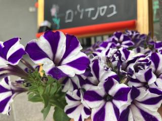 בסנדלים: חאן בוטיק בגולן - Ma'ale Gamla - 7
