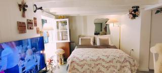 PARIS AUTHENTIC HOUSE studio with green courtyard 12 rue labourse Gentilly 94250 - Gentilly - 9