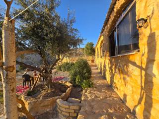 Dana horizon hotel - Dana - 7