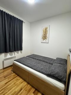 Apartman Petrović - Zlatibor - 3