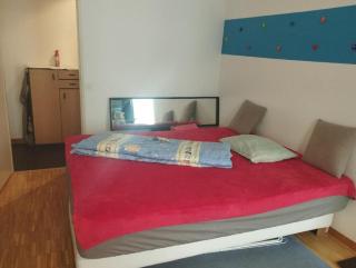 zentrale & bequeme Wohnung in Basel - Basilea - 2