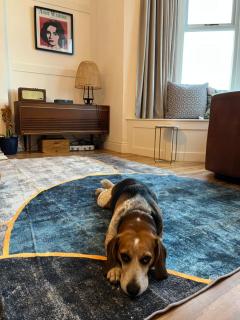 Stunning 3 bed seafront mansion building sleeps 6 adults or 8 with kids - 8