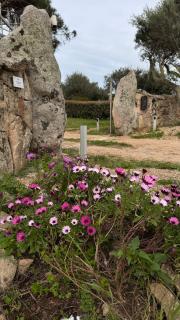 Appartamento i Pini - 8