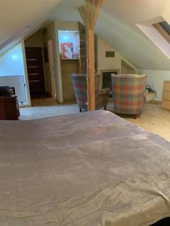 Studio SPA z leśną sauną, jacuzzi - - 6