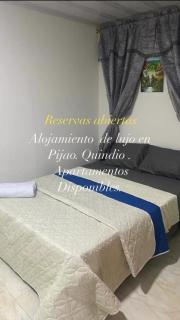 El Apartastudio de Dña Gilma en Pijao - 6