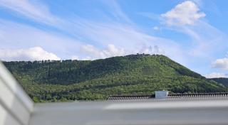 teck flat - Bissingen an der Teck - 6