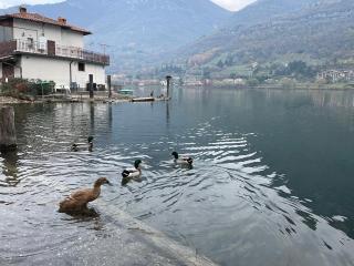 LakEden - Ranzanico - 6