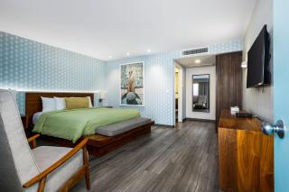 The Skylark, a Palm Springs Hotel - Palm Springs - 9