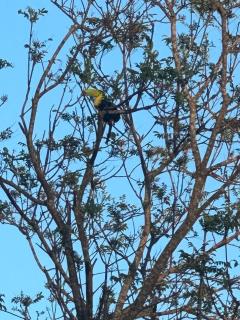 Cabaña Rana Verde - 9