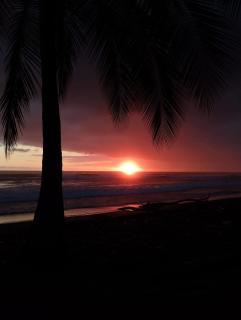 Junglehouse Matapalo - Savegre - 9