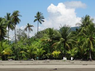 Junglehouse Matapalo - Savegre - 6