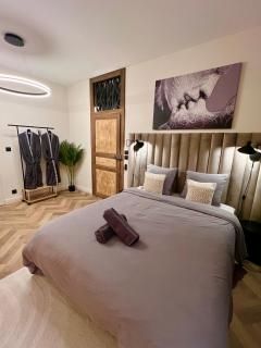 Spa et Sauna Luxueux Hyper centre - 1