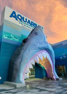 Planta Baja Completa Acuario Veracruz reserva 228ll5476O - 1